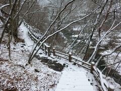 渓谷に沿って歩きます。
今の時期は山蛭がいないから最高だよ。