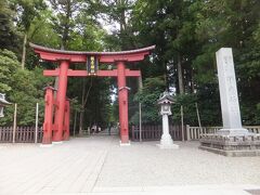 駅から15分くらいで弥彦神社の鳥居が見えてきました。まずはお参りします。