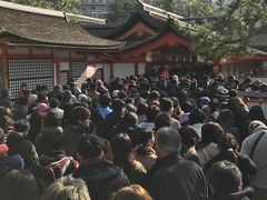 厳島神社にたどり着くまで、さすが元旦の朝だけあって結構な行列が出来ていて、１時間ほど並んだ。

前方が厳島神社入口。