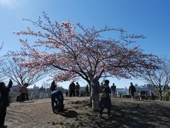 駅から外れると住宅街が広がりますが、さすが渋谷は高級感が漂います。
そうこうするうちに第２ポイントの西郷山公園。西郷隆盛の弟の軍人の西郷従道のお屋敷跡。晴れた日は富士山まで見えるビューポイントです。
