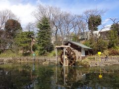 最後のポイントはやっぱり公園・・・鍋島松濤公園です。佐賀藩鍋島家が松濤という銘柄のお茶を栽培していた場所のようです。
水車のある湧水池のベンチでのんびり休憩します。今回は7キロのコースで公園中心だったせいか、長居をすることもなく13時前にはほぼ歩きつくしました。
