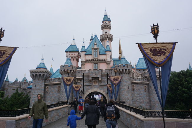 家族3人旅行inディズニーusaカリフォルニア アナハイム アメリカ の旅行記 ブログ By 鳥ptofunさん フォートラベル