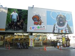 10：00　とさいぬパーク
横綱土俵入り、子犬ふれあいツアーに参加しました。
追加料金（ひとりにつき300円）を支払い、横綱との記念撮影にも参加。
ツアー参加者が少なかったこともあり、全員参加していました。