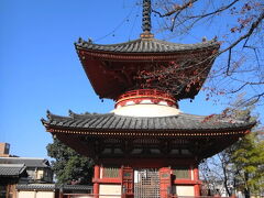 中院から喜多院はすぐ近く。こちらは大きなお寺です。