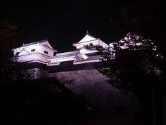 夜の松山城はライトアップされていた。
暗闇の中、浮かび上がる白い天守閣。