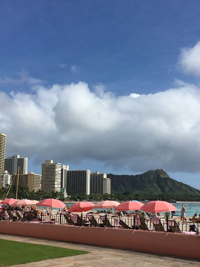 この光景、ピンクのパラソル見ただけでワクワクします。