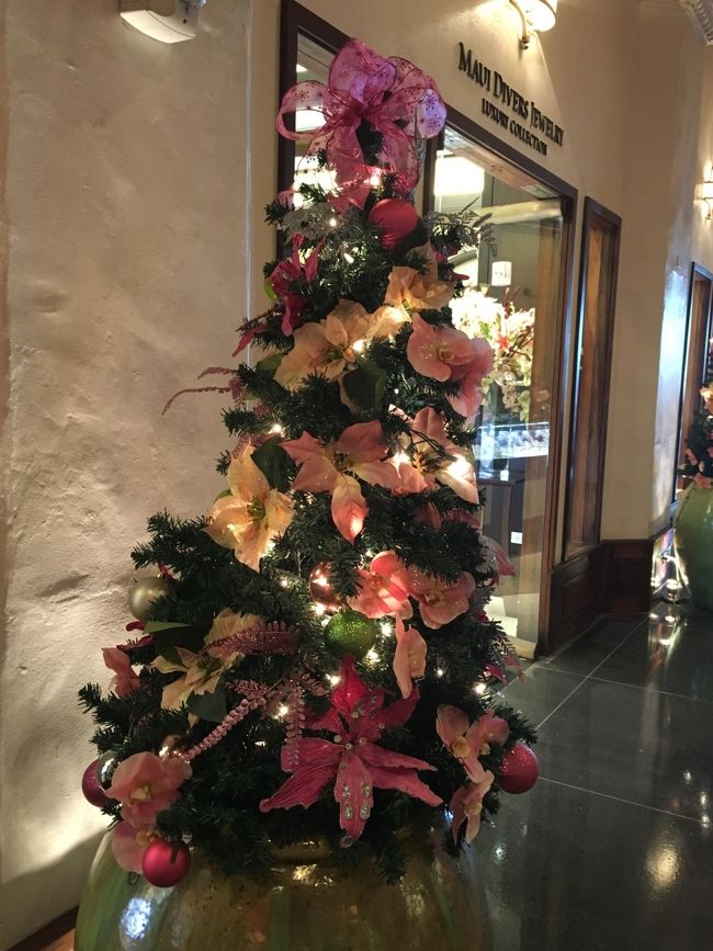 小さいのもあります。