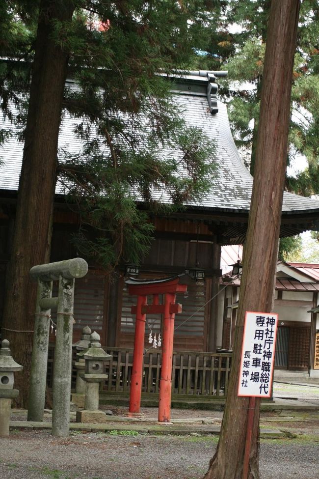 2008秋、紅葉の飯田と天竜峡下り(5)：11月8日(3）：飯田城址(1)：飯田市街、桜の紅葉、御用水跡、二の丸跡、本丸跡、観耕亭碑