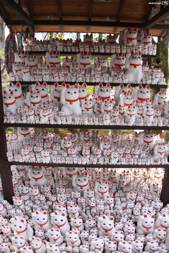 せたがや梅まつり 羽根木公園 井伊家の菩提寺 招き猫の寺 豪徳寺へ 経堂 成城 東京 の旅行記 ブログ By Morino296さん フォートラベル せたがや梅まつり 羽根木公園 井伊家の菩提寺 招き猫の寺 豪徳寺へ 経堂 成城 東京 の旅行記 ブログ By Morino296さん フォートラベル