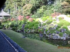 本堂の庭は、小堀遠州が造った見事な池泉式庭園です。