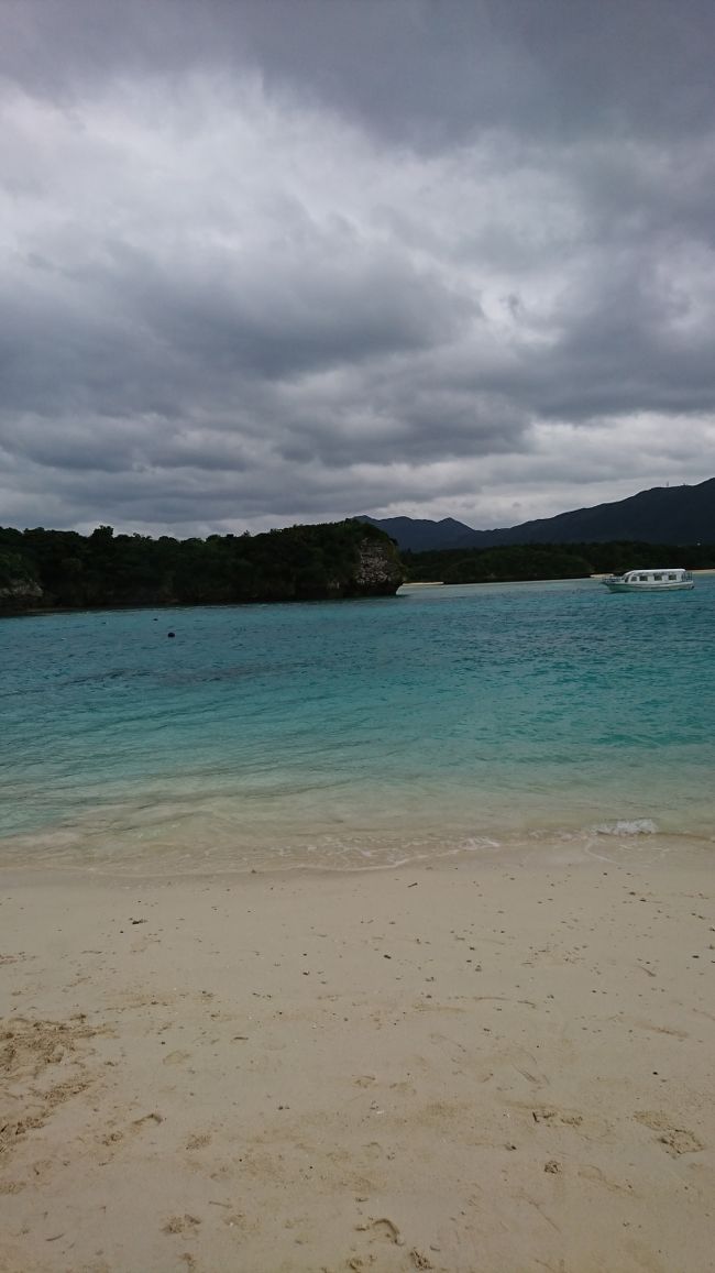 キレイなエメラルドグリーンです(〃▽〃)