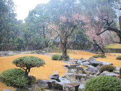 2月１０日　雪が降った。
これは、行かねば、と仙巌園へ急いだ。

仙巌園　曲水の庭にて
