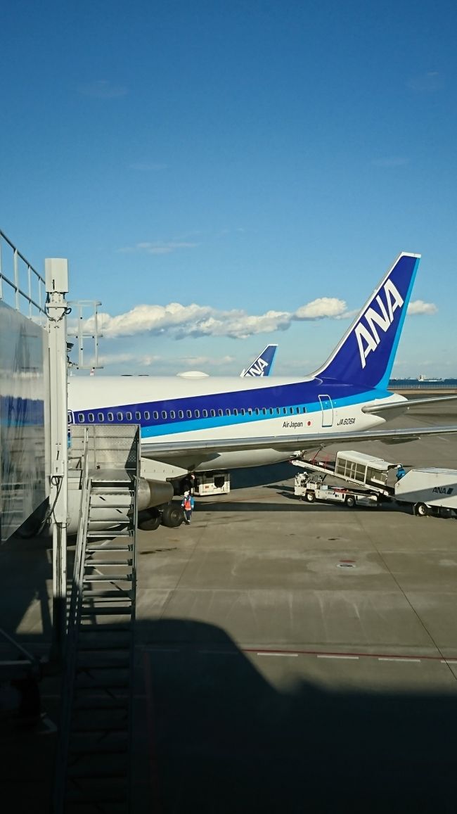 あーあ、旅ももう終わりです。<br /><br />(´TωT`)ｼｮﾎﾞﾝ