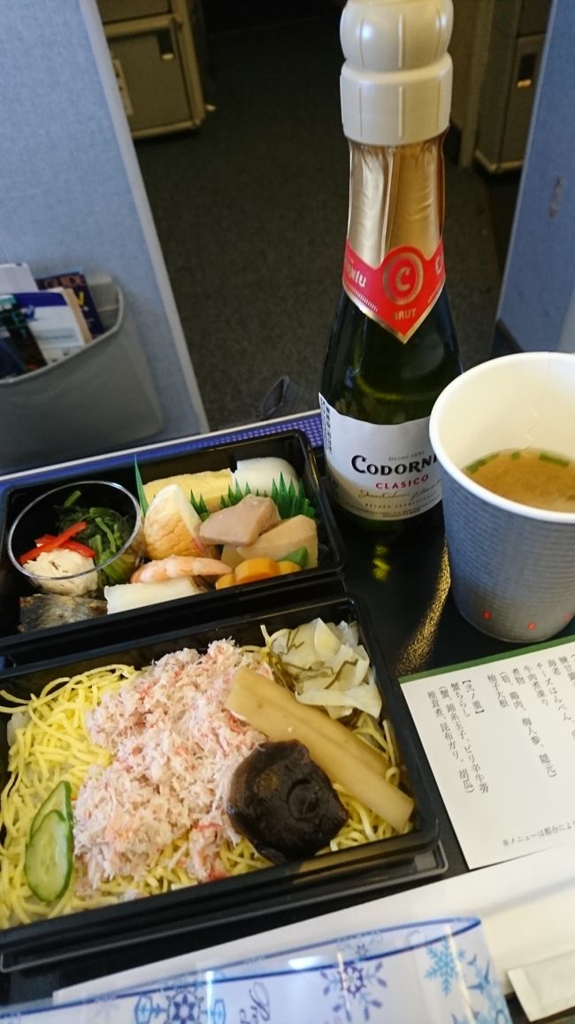 軽食&amp;スパークリングワイン<br /><br />あらら、行きと若干被ってる笑<br />しかし美味しいので文句無し♪