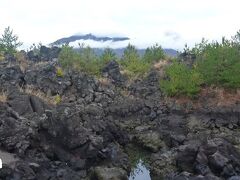 かつて火山活動があったことを示す溶岩が広がる。
