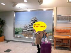 荷物を受け取って解散です。

松本城をバックに、ハイポーズ！


さてお昼をどうしよう？
空港内には飲食店は一軒しかありません。
田舎の空港ですね。
仕方がないので、松本市内まで下ります。

ちなみにコンビニも空港内にはありません。