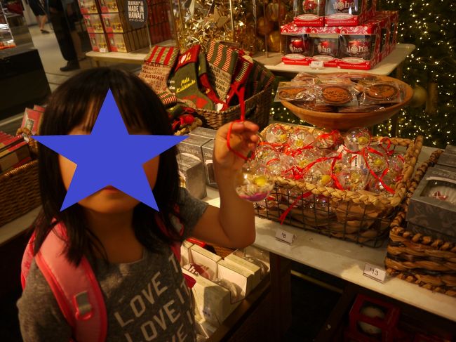 プラスチックのボールの中に貝殻とピンク色の砂が入ってます<br /><br />砂がブルーのもありました