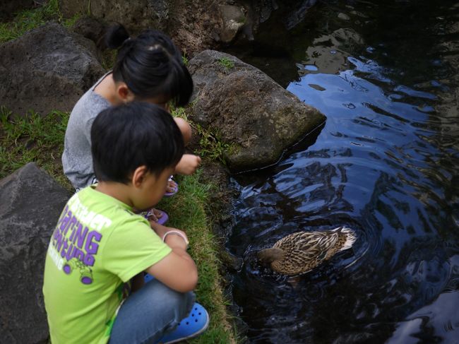 エサを持っている子はちらほら<br /><br />でもバケツを持ったお兄さんはもういなくて、遅かったかあー、としょんぼりしてたら隣にいた子が分けてくれました(^O^)<br /><br />どうもありがとうございました