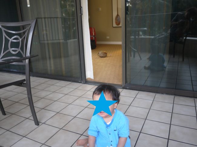 シンちゃんも起きてきました<br /><br /><br />ラナイがお気に入りで窓を開けるとすぐ出てきちゃいます<br /><br /><br />朝日を浴びながらご飯タイム<br /><br />気が付くと9時過ぎ・・・