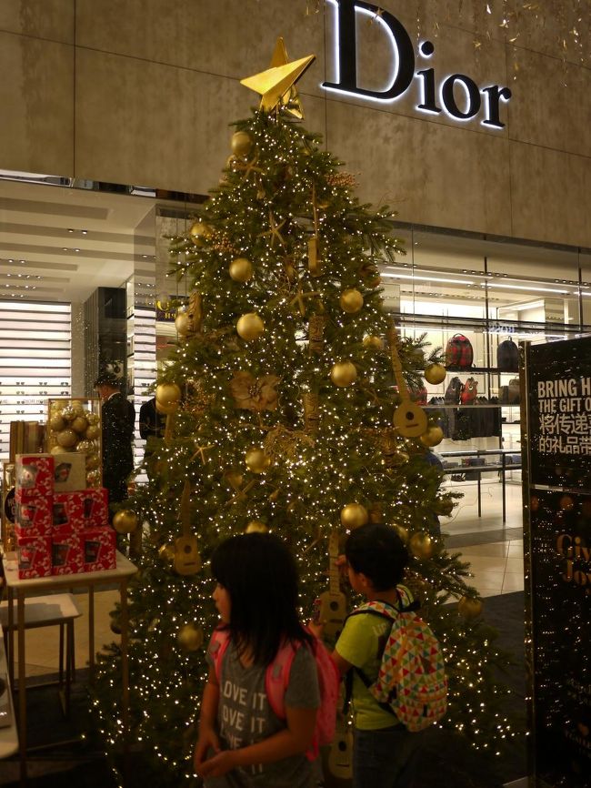 至る所にクリスマスツリー