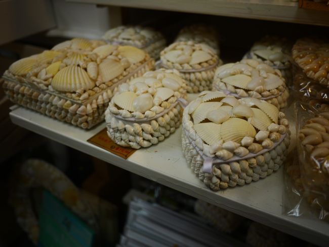 ２人でコレもカワイイ、アレも欲しい・・って言いながら