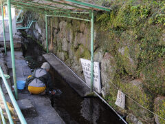 地図を観ながら、温泉街をそぞろ歩き。
裏道では、地元の方が水場で洗濯をしていた。
小浜温泉は、温泉が豊富なだけではなく、水もいたるところから湧いていて、その水場は『上の川湧水』と呼ばれる場所だった。
そこは、地元の人の洗い場として利用されているそうだ。
夏には、ダグマと呼ばれる手長エビが観られるらしい。
それほど水がきれいなのだ。