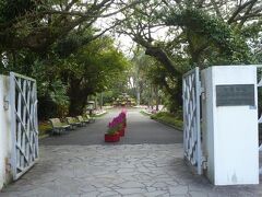 こちらは青島亜熱帯植物園。無料開放されている。