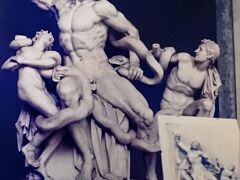 ■バチカン市国：バチカン美術館所蔵
「Gruppo del Laocoonte（ラオコーン像）」