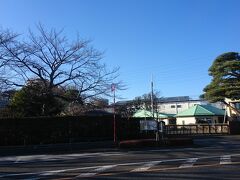 こちらは相変わらずの景色。
ふるさとの東大和市駅と都立薬用植物縁前。道が大きく拡張されているいがいはさほどこの角度からの景色は変わっていません。
