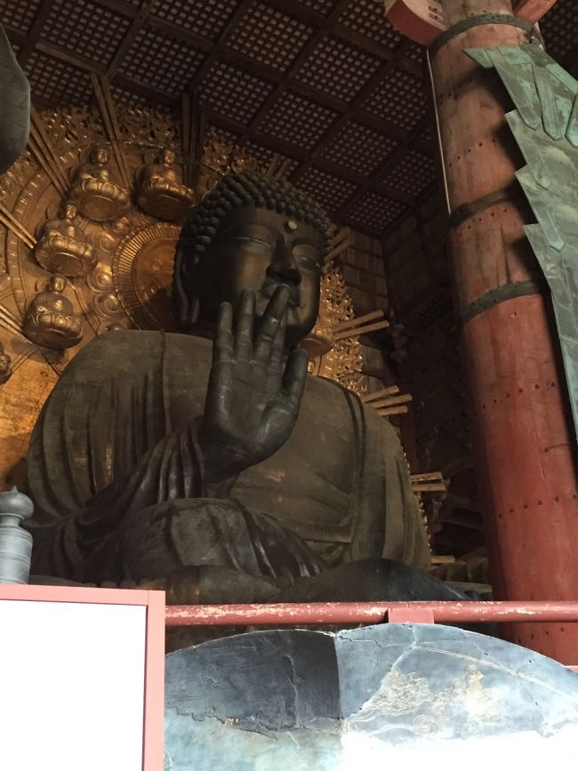 大仏様、その大きさに茫然です