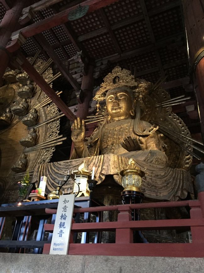 心を充電した後は、お昼ご飯でまた充電<br />あれ？さっき和菓子を食べたはずだけど、それとこれは別腹ですから<br /><br />