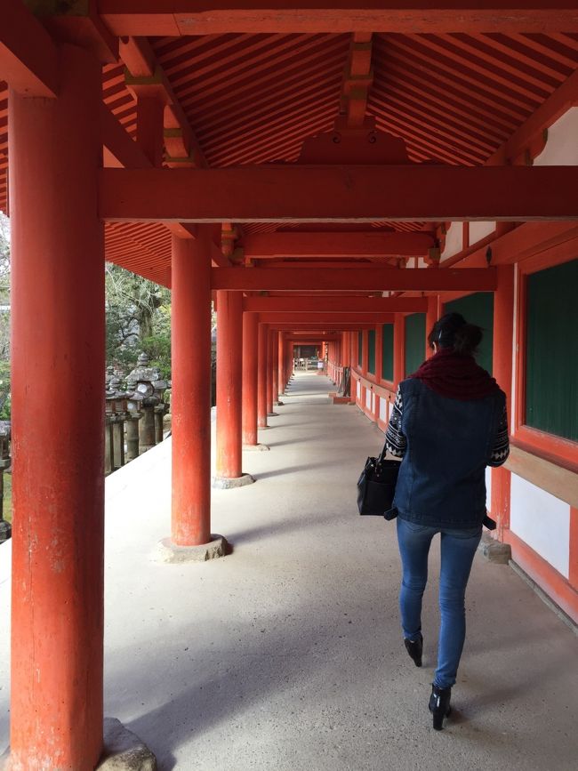 若草山で鹿を眺め、春日大社で鹿みくじを買って。<br /><br />自転車を走らせて今度はならまちへ向かいます