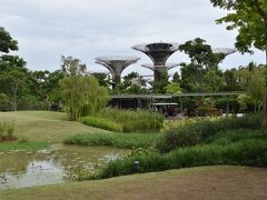 地下鉄を乗り継ぎ、新しくできた植物園「ガーデンズ・バイ・ザ・ベイ」へとやってきた。