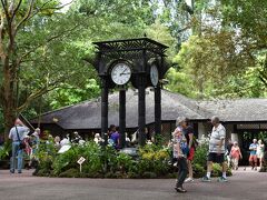 朝食後はシンガポール植物園へ。