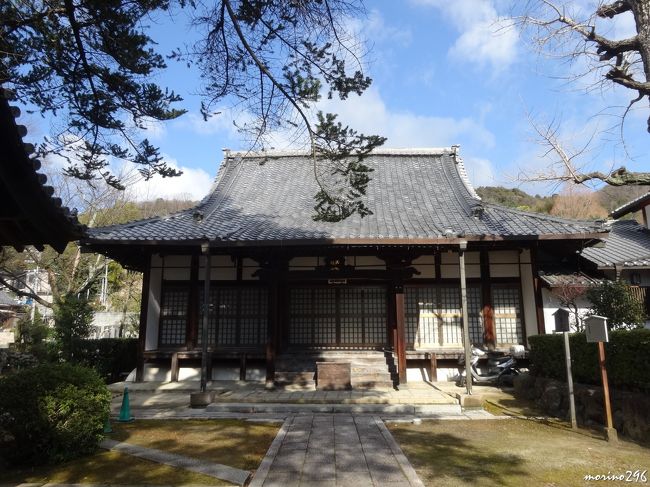 大念寺　京都府乙訓郡大山崎町<br /><br />美術館へ行く途中、立ち寄った寺。<br />浄土宗の寺。山号は見仏山。<br />創建は、室町時代後期の弘治元年（1555年）。<br />幕末の禁門の変に長州藩の一部が大念寺に布陣していたことで<br />巻き込まれて焼失。<br />再興されたのは明治12年（1879）だそうです。