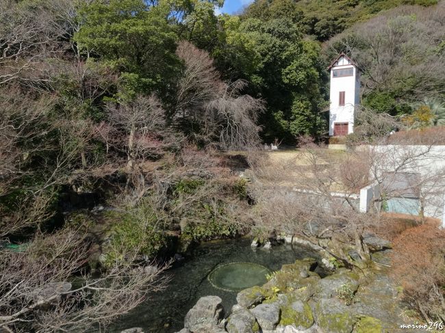 アサヒビール大山崎山荘美術館　２階のベランダからの眺め<br /><br />白い建物は栖霞楼（白雲楼）大正４年完成の木造三階建て。<br />大山崎山荘に先駆けて建てられたもので、<br />加賀氏はこの塔の上から敷地全体を見渡して山荘を設計し、<br />工事の監督をしたそうです。<br /><br />上手の池は綺麗な湧き水で満たされています。