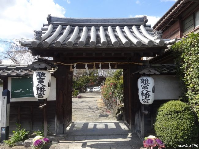 山崎　離宮八幡宮の東門<br /><br />山崎駅から歩いて直ぐにある薬医門。<br />延宝年間（1673-80)に建立されたものといわれます。<br />