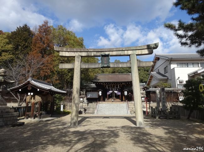 山崎　離宮八幡宮　拝殿前の鳥居<br /><br />平成２２年に創建１１５０周年を迎えた由緒ある神社。<br /><br />平安時代の始め、清和天皇が神のお告げにより、国家鎮護のため宇佐八幡宮より八幡神を京へ遷座せよと僧の行教に命ぜられ、貞観元年(859)に「石清水八幡宮」が建立されました。<br />ここは嵯峨天皇の離宮である「河陽宮」の跡地であったため、後に社号が「離宮八幡宮」と改称されたそうです。<br /><br /><br />
