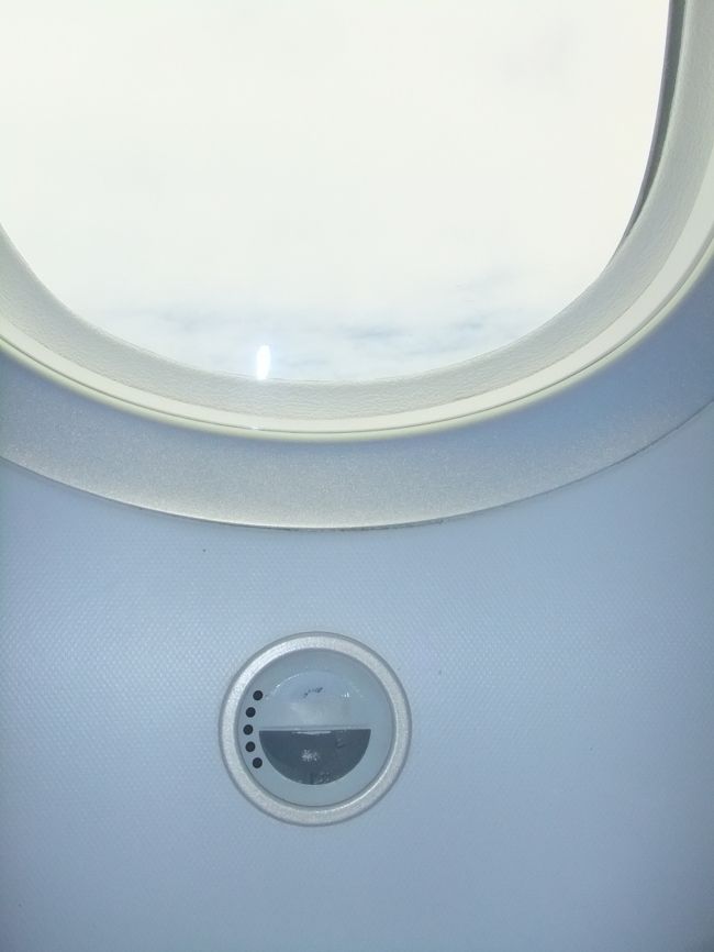 シェード、電動なのですねぇ！