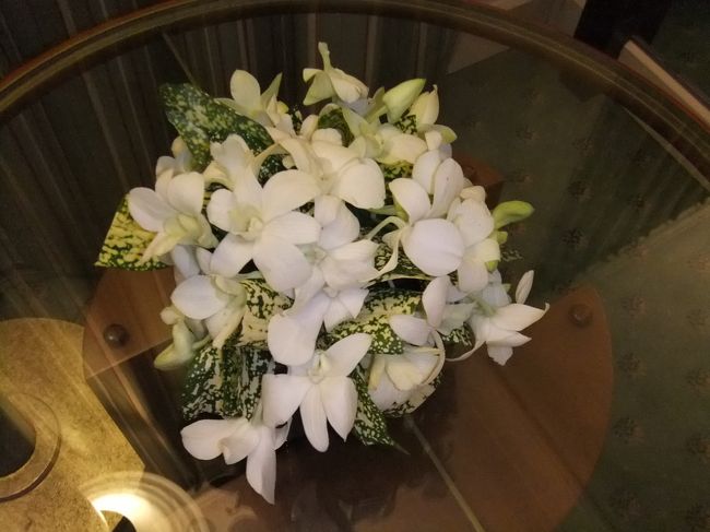 生花が飾ってありました！<br />嬉しくなりますね＾0＾