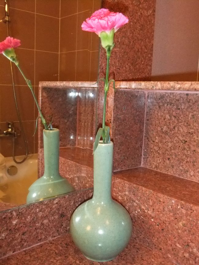 こちらにもカーネーションが！<br />