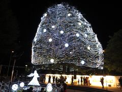 【勾当台公園・市民広場】にある「シンボルツリー／ａｕツリー」

高さが約３０ｍあるヒマラヤスギを電飾で飾った国内最大級のツリーです。

手前のひろばで電飾のヨーヨーを使ったパフーマンスをしていた。
寒空の下、半袖で頑張っていたのでちょっと奮発してチップを渡した。
１日はやいお年玉、ってことでね。

『阪本ツインズ』って双子のパフォーマーさんでしたよ。