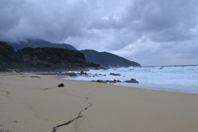 海亀の産卵地。永田（いなか浜）。