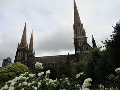 メルボルン市内の簡単な観光で、初めにセントパトリック大聖堂を訪れました。