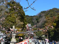 後半スタート　鶴岡八幡宮

あまり梅は期待できないが、通り道？なので覗いて行く。
梅もわずかばかり絵に入った。