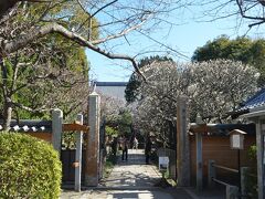 宝戒寺

鶴岡八幡宮からすぐの宝戒寺。
1335年（建武2年）後醍醐天皇が建立したとされている。
「萩の寺」として知られている。
