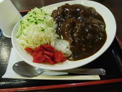 特製カツカレーを

野菜もたっぷりでいいと思っていたら