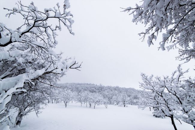 知床自然センターでスノシューと長靴を借りてフレペの滝へスノートレッキング