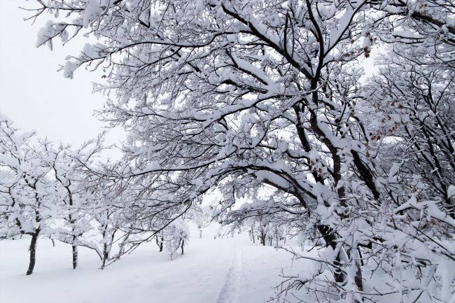 往復1時間の道のり