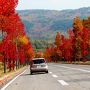 2013 NOV 星野リゾート磐梯山温泉ホテルと裏磐梯の紅葉